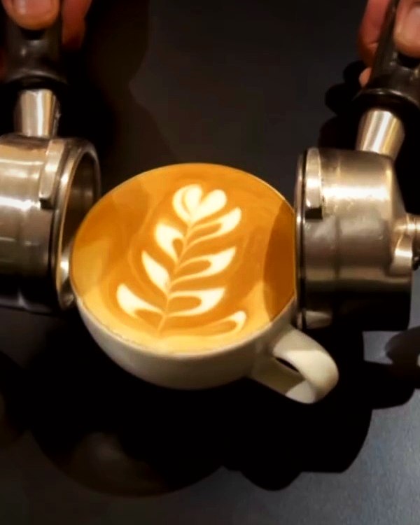 A latte with tulip latte art between two espresso handles